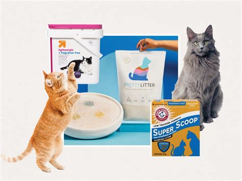 best odor control kitty litter|11 Best Cat Litters for Odor Control, Expert.